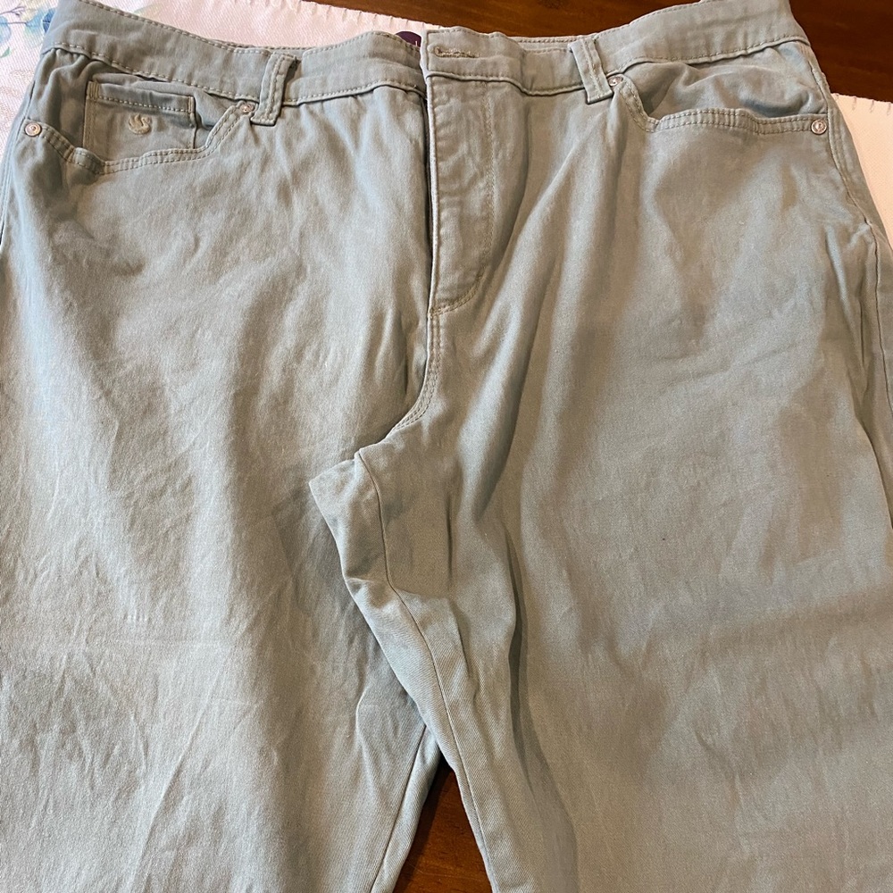Gloria Vanderbilt “Amanda” Slim Leg Pants; size 18